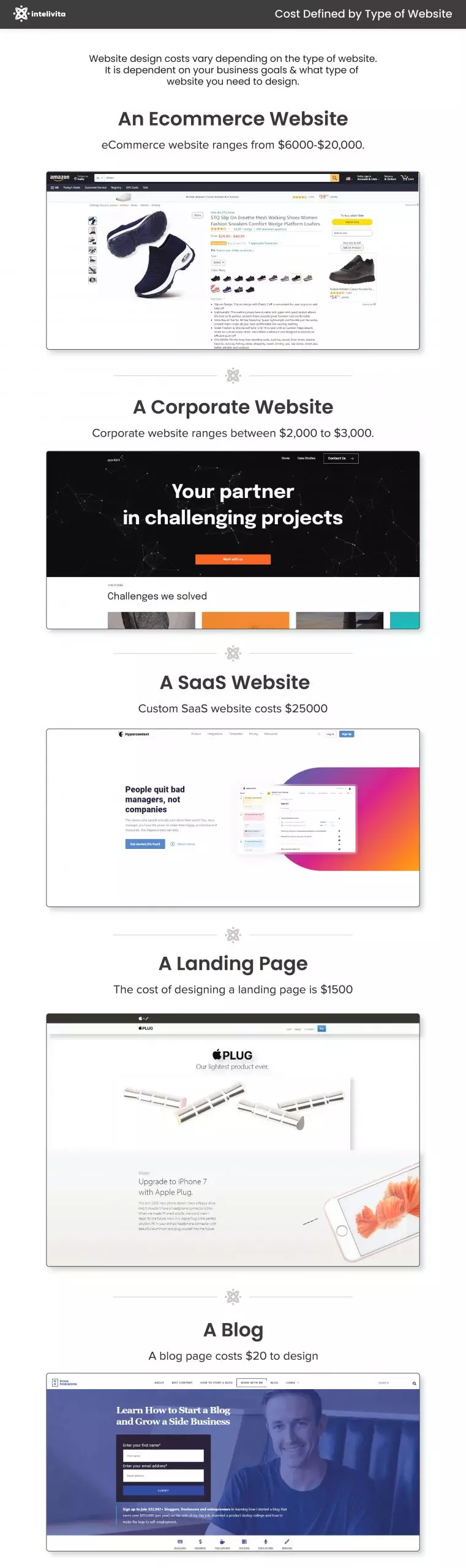 This image shows, that different types of website and development cost.