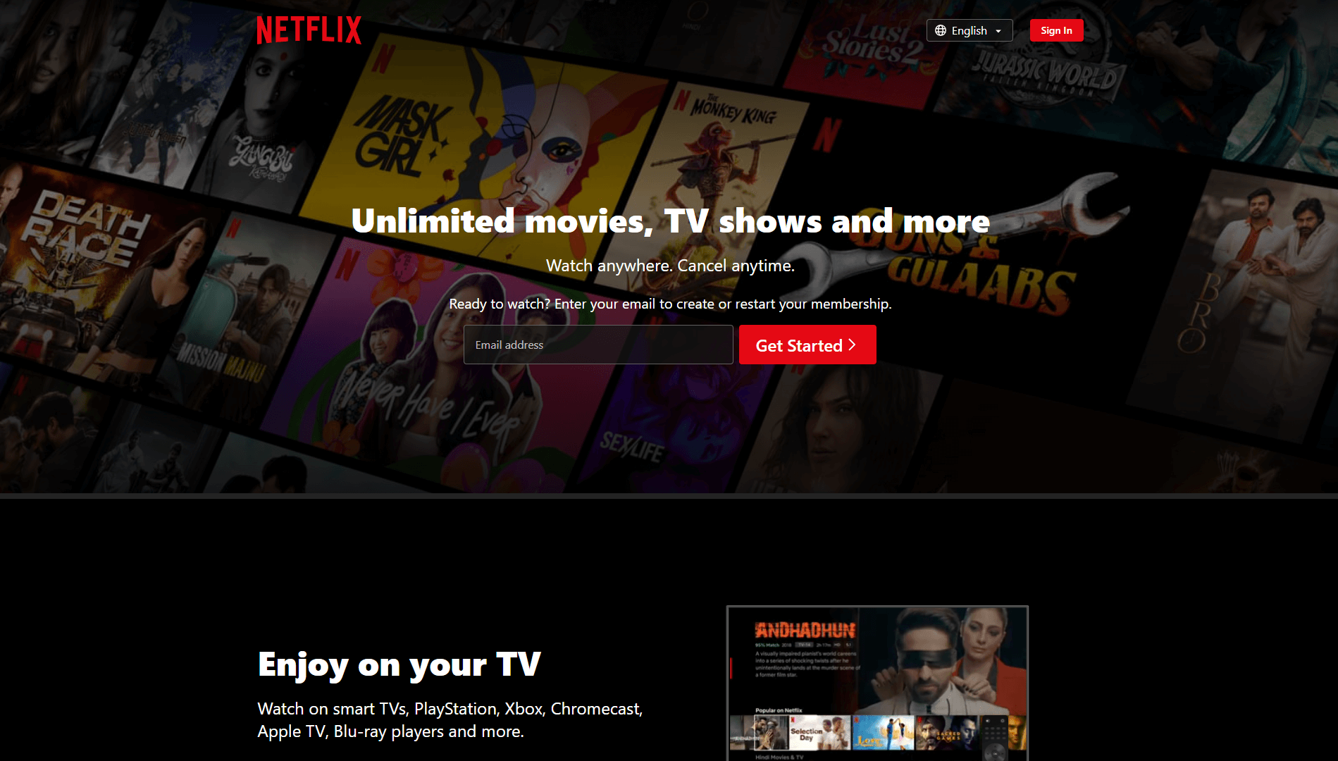 SaaS application Netflix website's homepage.