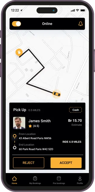 Driver-Side Taxi Application mockup