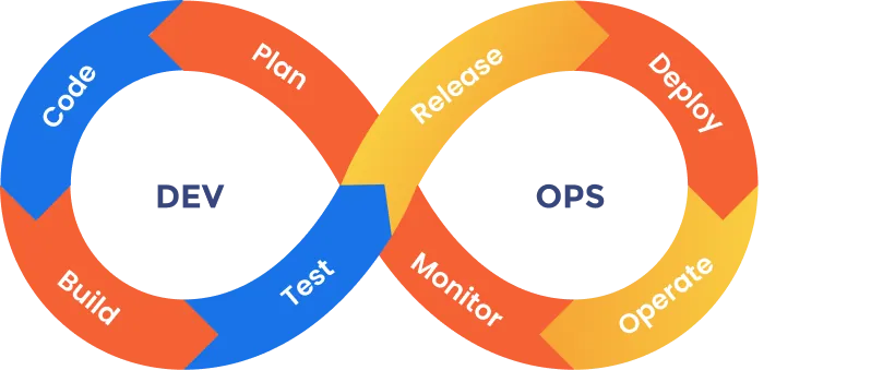 Methodologies Our Experts At Intelivita Work With