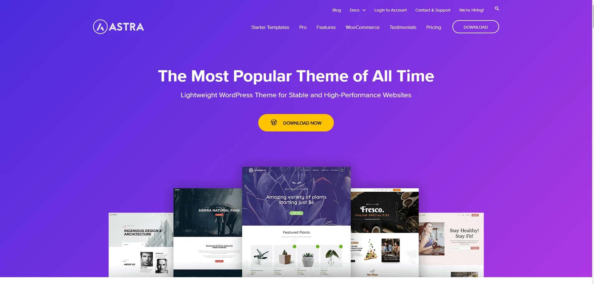 WordPress Theme