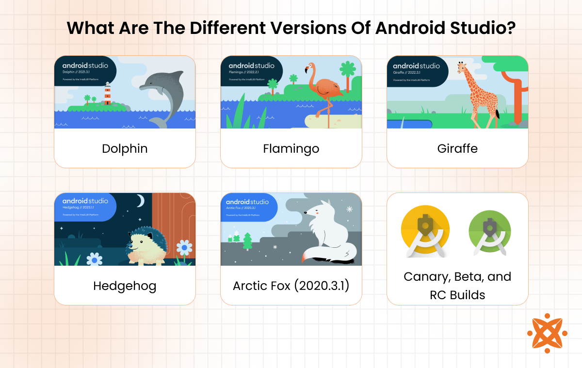 Core features and tools available in Android Studio for mobile app developers