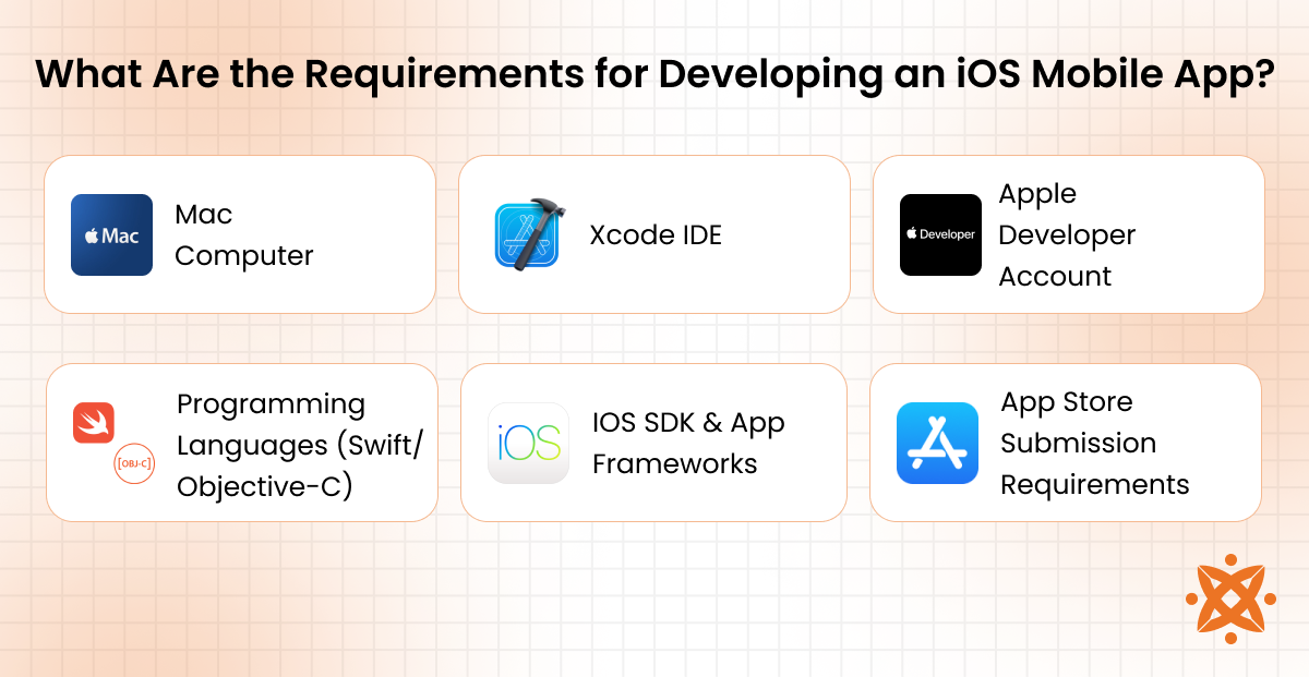 Requirements for iOS app development including tools, SDK, and Apple guidelines