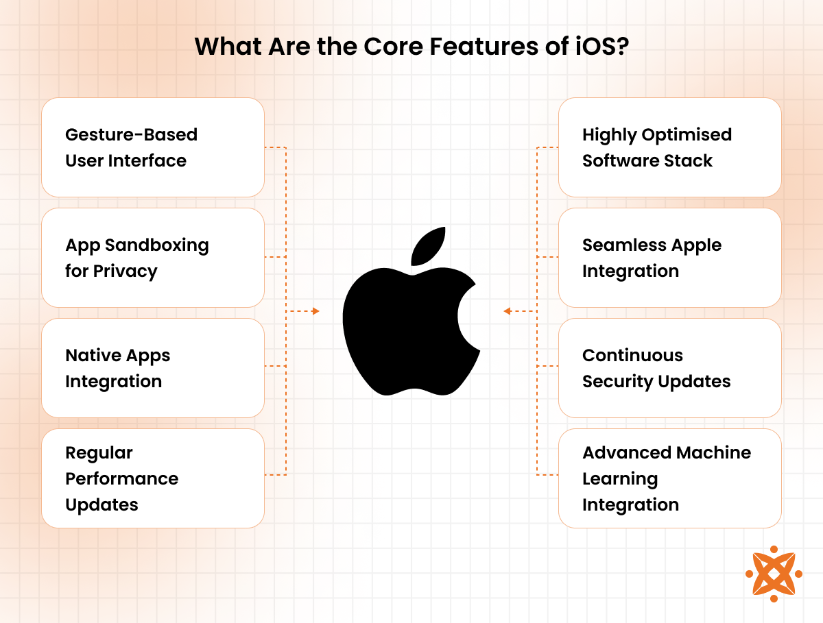 Core features of iOS including user interface design, privacy, and app security