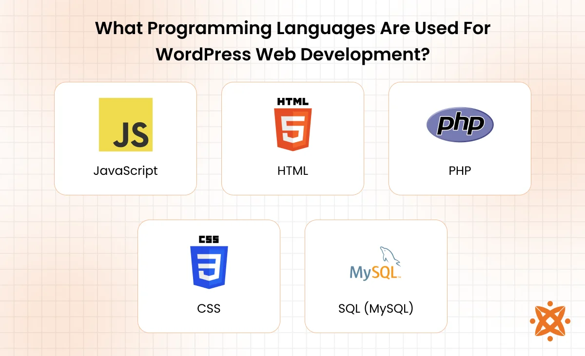 Programming languages used in WordPress development including PHP, HTML, CSS, and JavaScript