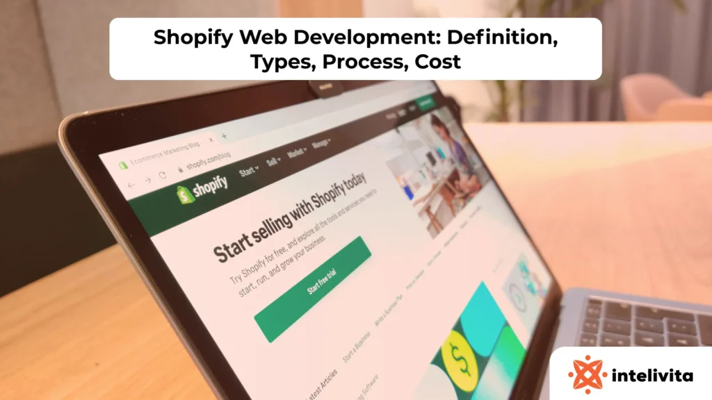 Shopify web development overview showing store types, development process, and cost breakdown for custom eCommerce websites