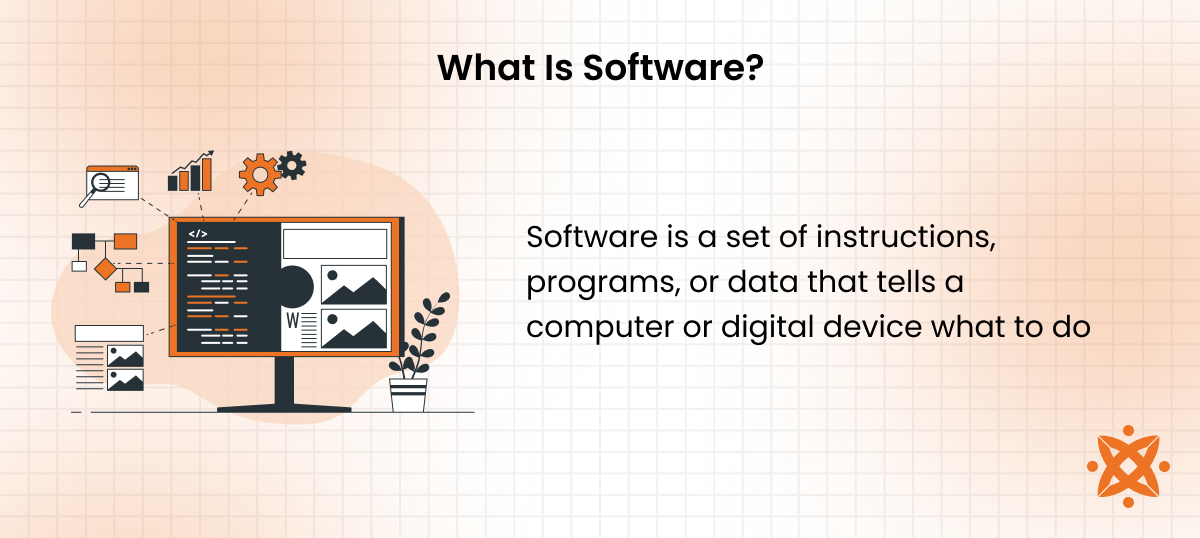 Definition of software as digital programs used to perform computer tasks