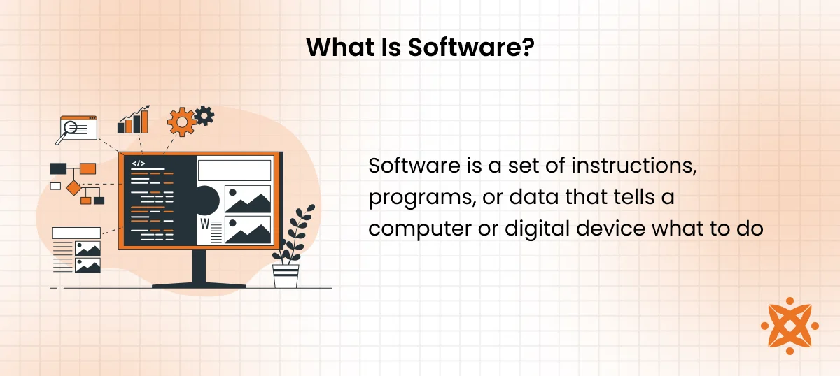 Definition of software as digital programs used to perform computer tasks